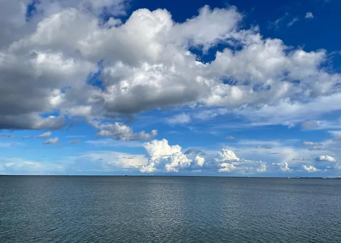 Bea Mar * 格丁尼亚